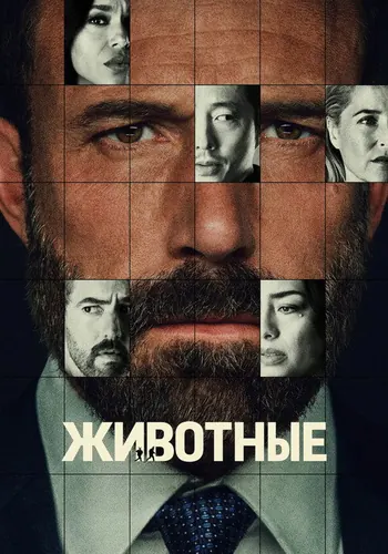 Животные — постер
